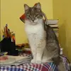 Отзыв от Эльвира Корнилова